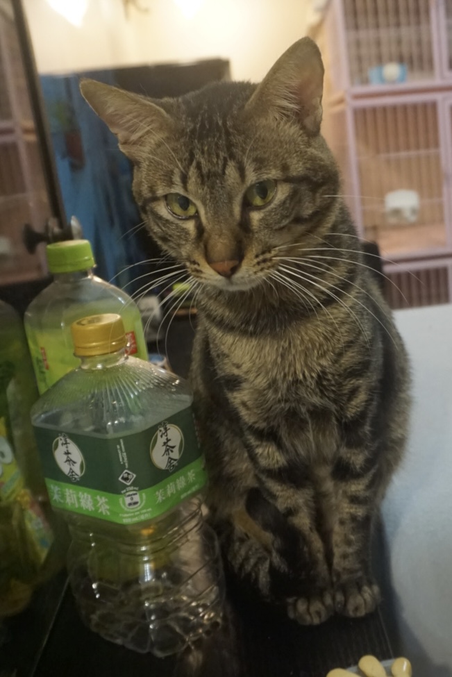 信一